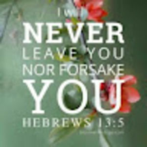 Meet your Posher, Kristy